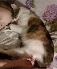 605 X 730 65.5 Kb !   -   