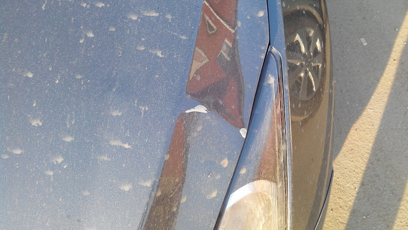 800 x 450 800 x 450 .  .