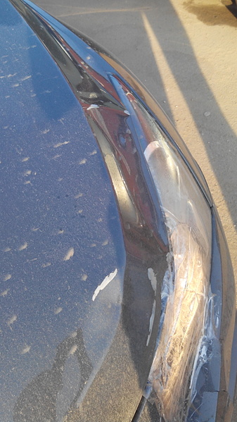 337 x 599 800 x 450 800 x 450 .  .