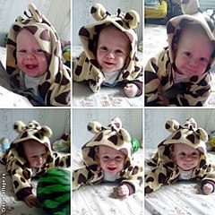 500 X 500  70.2 Kb Домик малышей 2014 и их родителей.