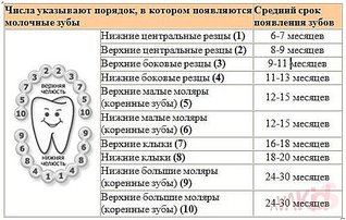 514 X 326  63.8 Kb Домик малышей 2014 и их родителей.