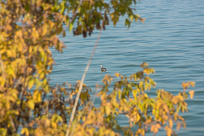 1500 X 1000 484.5 Kb 1000 X 1500 415.5 Kb 1500 X 1000 528.4 Kb    Sony Alpha 18-135