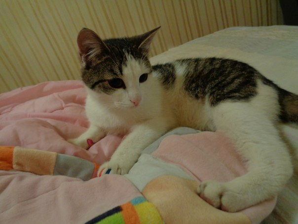 604 x 453 604 x 453 453 X 604  41.3 Kb 