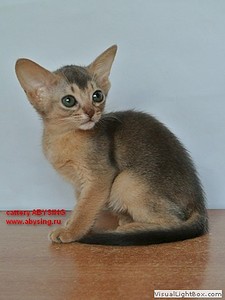 360 X 480 29.7 Kb 600 X 451 33.8 Kb 448 X 298 14.5 Kb  