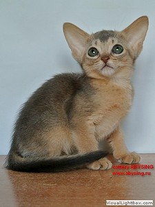 360 X 480 33.4 Kb 360 X 480 29.7 Kb 600 X 451 33.8 Kb 448 X 298 14.5 Kb  