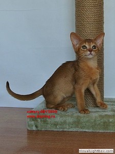 360 X 480 32.6 Kb 360 X 480 34.3 Kb  