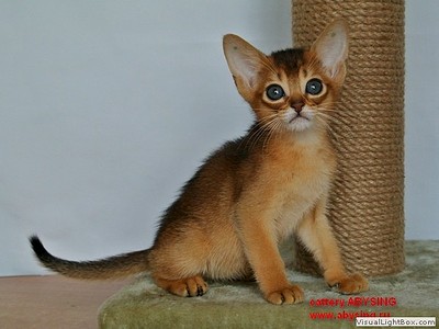 600 X 450 50.7 Kb 600 X 450 49.2 Kb  