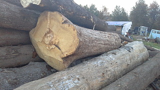 1920 X 1080 597.4 Kb 1920 X 1080 521.0 Kb   . 