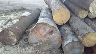 1920 X 1080 521.0 Kb   . 