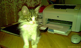 1920 X 1140 504.1 Kb 1920 X 1140 487.6 Kb   ! (  )