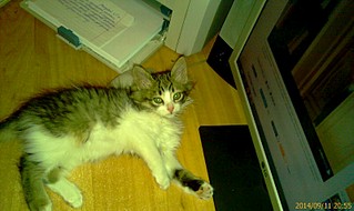 800 X 475  86.4 Kb 1920 X 1140 440.7 Kb 1920 X 1140 504.1 Kb 1920 X 1140 487.6 Kb   ! (  )