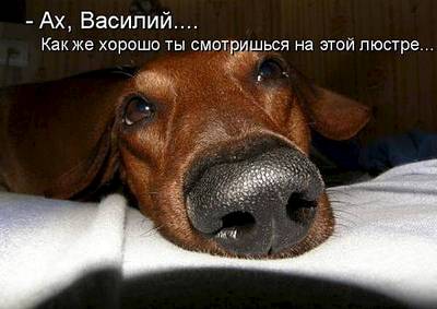 600 X 425  32.1 Kb WOOMEN 
