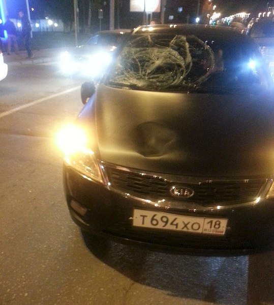 768 X 854 103.7 Kb 26.09.2014   . ,    <Kia>  