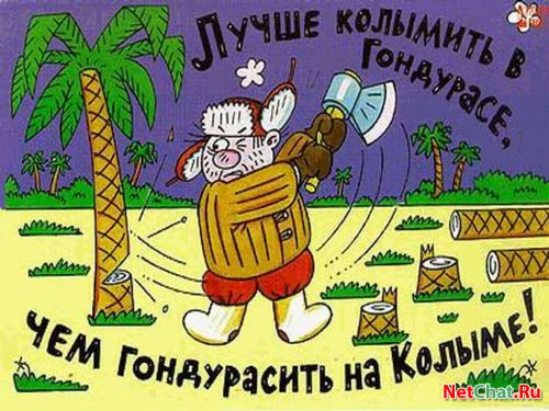 500 x 375     ..   
