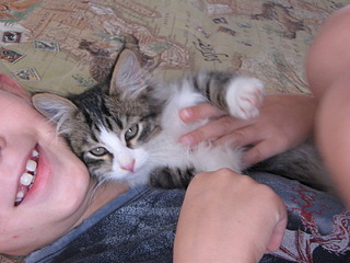 1920 X 1440 711.4 Kb 1920 X 1440 526.4 Kb 1920 X 1440 800.2 Kb Котенок-мальчишка