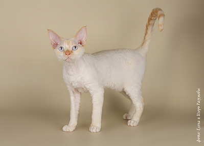 1920 X 1371 302.6 Kb   