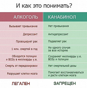 595 X 604 70.1 Kb неспящие в ижевске