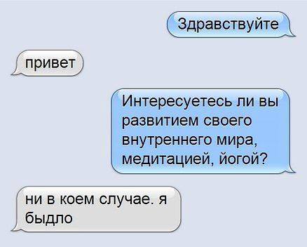 438 x 352 Котятки мальчик и девочка в дар