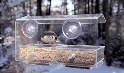 665 X 395 53.9 Kb Питомник'Gem Sweet'.Любимые британские ПЛЮШКИ.Британские котята: белые, голубые
