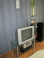 1920 X 2560 313.8 Kb     