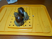 1920 X 1440 671.8 Kb      