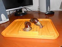 1920 X 1440 690.0 Kb 1920 X 1440 671.8 Kb      