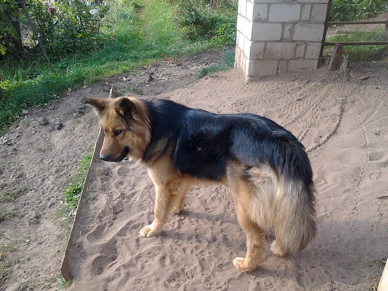 1920 X 1440 674.6 Kb     