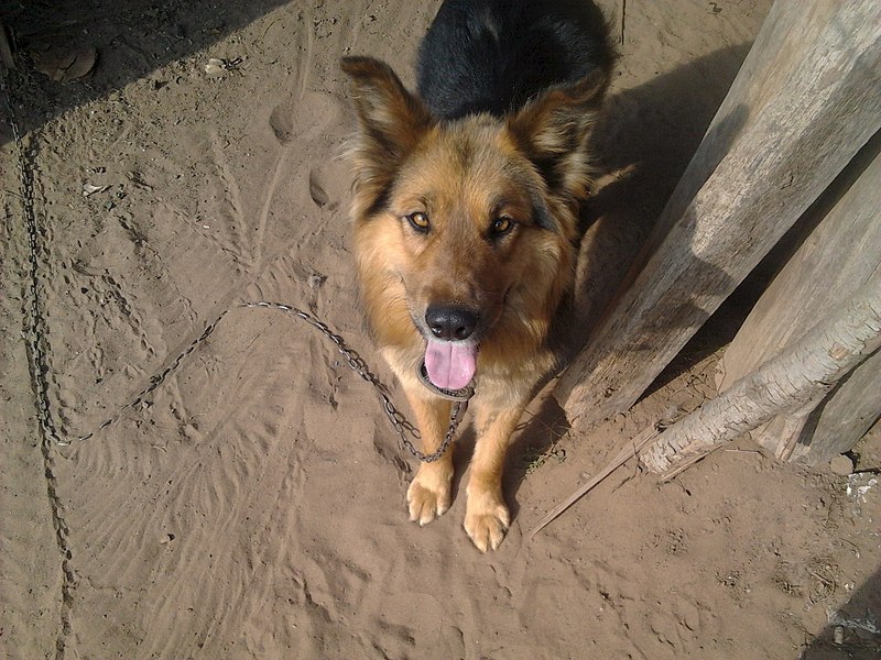 1920 X 1440 589.6 Kb 1920 X 1440 665.0 Kb 1920 X 1440 674.6 Kb     