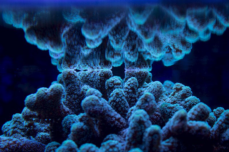 1920 X 1280 731.7 Kb Глубокое синее море.