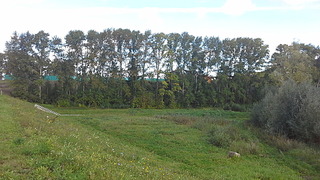 1920 X 1080 712.3 Kb 1920 X 1080 516.5 Kb 1920 X 1080 495.3 Kb    