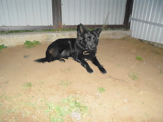 1920 X 1440 114.5 Kb      