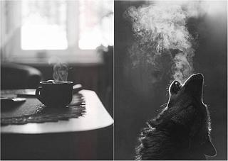 1000 X 710 50.1 Kb 1000 X 680 54.8 Kb 1000 X 1000 61.5 Kb 1000 X 1000 155.1 Kb Консультации по фототехнике. Помощь в выборе зеркалок! Статьи, Программы, Инструкции!