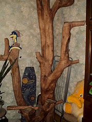 1920 X 2560 325.6 Kb 1920 X 2560 906.2 Kb  