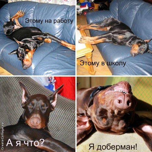 500 x 500 Улыбнемся?