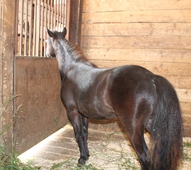 844 X 752 295.5 Kb 1780 X 1504 729.8 Kb 740 X 752 293.1 Kb 1128 X 752 280.9 Kb 1128 X 752 309.0 Kb   