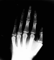 500 X 550 500.0 Kb 30.09.14.   