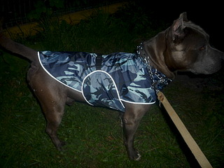 1920 X 1440 625.0 Kb   .  .