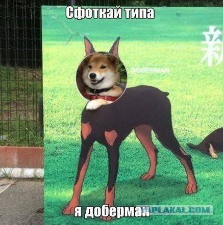 437 x 442 Улыбнемся?