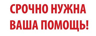 604 X 230 23.7 Kb 1920 X 1079 554.4 Kb 1920 X 1079 424.2 Kb Котятки мальчик и девочка в дар