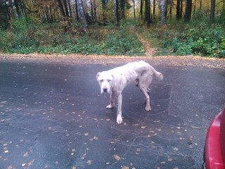 604 X 453  65.2 Kb     !