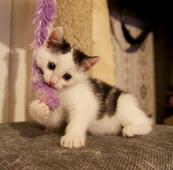 1920 X 1895 173.6 Kb -, 2 .   .