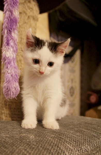 1920 X 2941 286.8 Kb 1920 X 1895 173.6 Kb -, 2 .   .