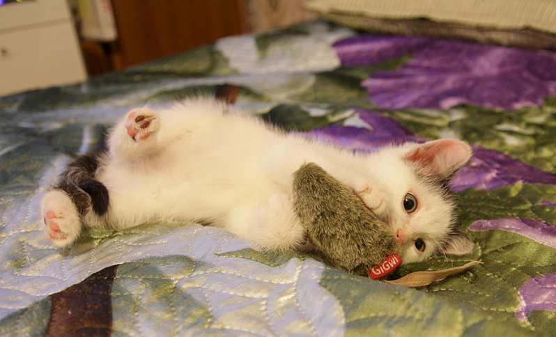 1920 X 1163 738.4 Kb -, 2 .   .