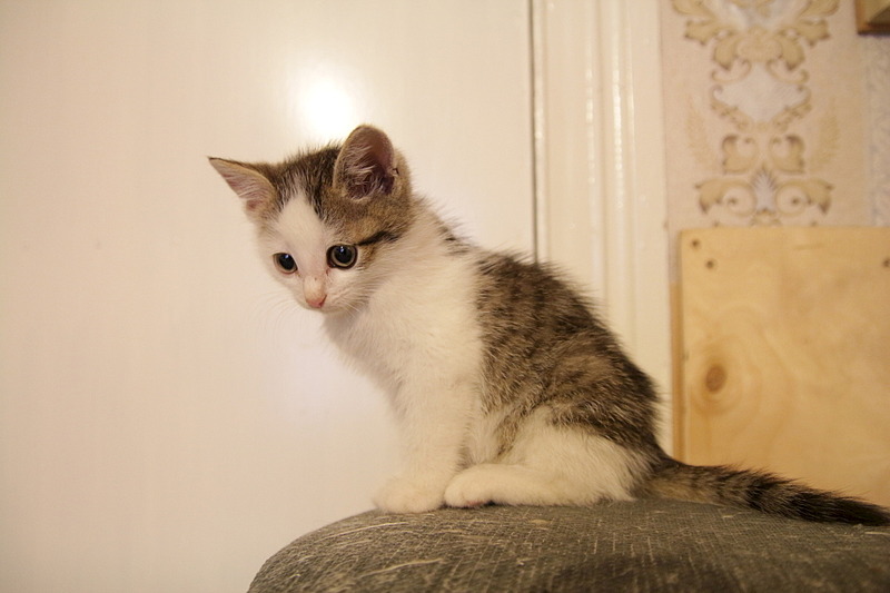 1920 X 1280 323.7 Kb -, 2 .   .