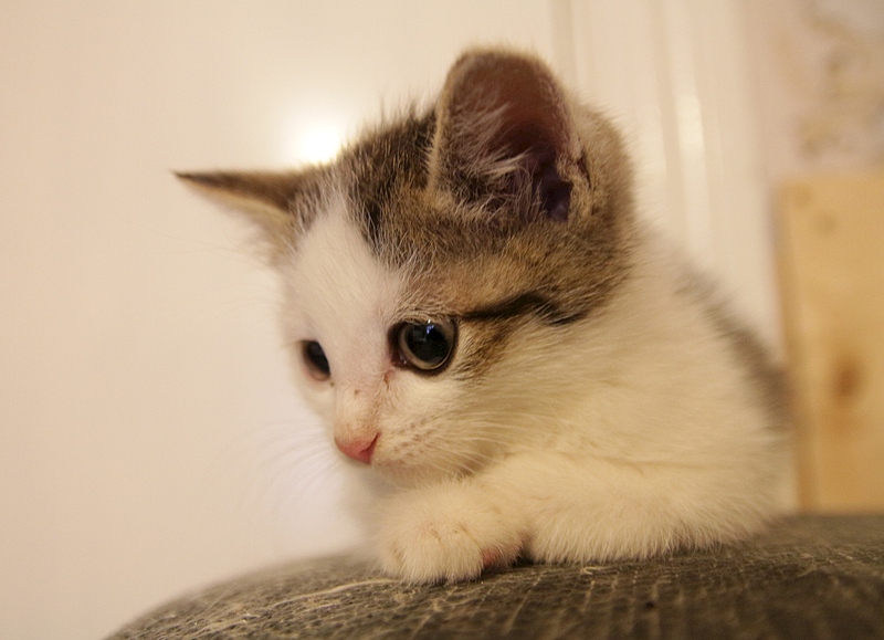 1920 X 1390 652.9 Kb -, 2 .   .