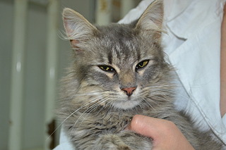 1920 X 1280 480.2 Kb   !