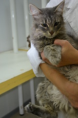 1920 X 2880 971.0 Kb   !