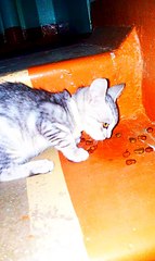 482 X 807 75.8 Kb 807 X 482 69.7 Kb     