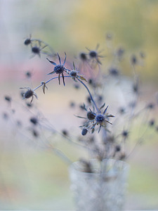 1224 X 1632 347.3 Kb   35mm, 