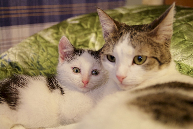 1920 X 1280 674.3 Kb -, 2 .   .